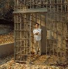 Michael Emerson